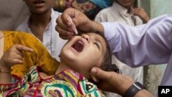 په کراچې کې د پوليو تازه ښکار شوؤ ماشومانو تعلق چې د پښتنو کورنو سره دی دويې ته د پوليو څاڅکي ورکړل شوي او د هغې باوجود پوليو وهلي دي.