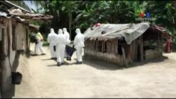 Էբոլայի արագ ախտորոշման միջոցները փրկել են հազարավոր մարդկանց կյանքեր