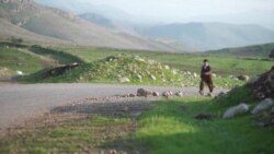 Binêrîn Kalemerê 90 Salî Çawa Gênc Maye