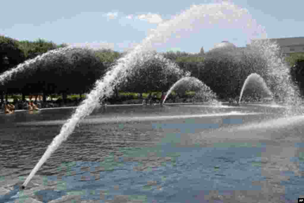 植物花园中的大水池