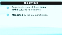 The US Census