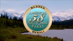 Denali National Park