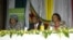 Constitution making process