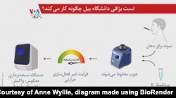 تصویر از «ان وایلی» ساخته شده با «بیورندر»