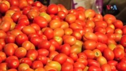 ایک کلو ٹماٹر ڈالر سے بھی مہنگا