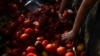 ARCHIVO - La gente recoge tomates desechados para llevárselos a casa afuera de un mercado en las afueras de Buenos Aires, Argentina, el 10 de enero de 2024.