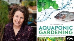 Sylvia Bernstein, petani aquaponics di Denver, Colorado, aktif mengajar aquaponics di Denver Botanic Gardens dan baru-baru ini menerbitkan buku tentang cara membuat kebun aquaponic di rumah.