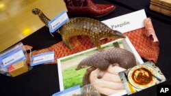 Items made from pangolins are displayed during a press preview of confiscated wildlife contraband at the State Department in Washington during the U.S.-China Strategic and Economic Dialogue, June 24, 2015.