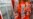 Russia Grants Bail to Greenpeace Captain, Others