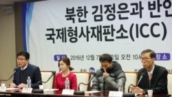 [인터뷰 오디오: 김태훈 한변 상임대표] '북한인권유린 책임자' 김정은 ICC 제소…의미와 전망