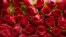 Valentine's Day-Loneliness