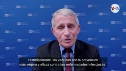 ENTREVISTA FAUCI EFECTIVIDAD VACUNAS