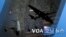 [VOA 모닝 뉴스] 2020년 2월 22일