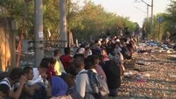 Macedonia Migrants
