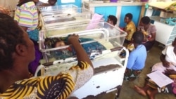 New Technology Aims to Prevent Newborn Deaths in Sub-Saharan Africa