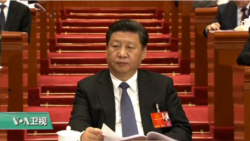 VOA连线(方冰)：黎安友：终身制会让习近平骑虎难下