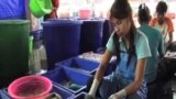 Thailand's Migrant Worker Process Flawed, Awareness Low