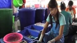 Thailand's Migrant Worker Process Flawed, Awareness Low