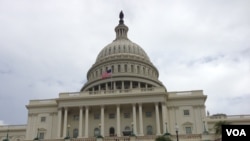 Le capitol à Washington DC, 16 octobre 2013. (Sandra Lemaire/VOA)