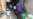 Nigeria’s Wecyclers Work for Reusable Future in Lagos