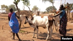 Des paysans portent des armes près de la capitale, Juba, Soudan du Sud, le 18 octobre 2014.