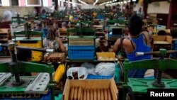 FILE - Recently rolled cigars are seen at the Corona tobacco factory in Havana, Cuba, July 3, 2019. New U.S. sanctions announced Wednesday prohibit Americans from importing Cuban cigars and liquor. 
