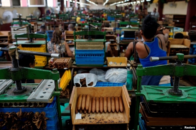 FILE - Recently rolled cigars are seen at the Corona tobacco factory in Havana, Cuba, July 3, 2019.