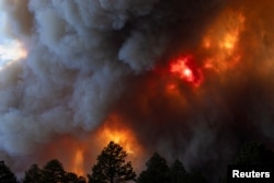 Smoke plumes from the South Fork Fire rise above the tree line as the fire progresses from the Mescalero Apache Indian Reservation to the Lincoln National Forest causing mandatory evacuations in Ruidoso, New Mexico, U.S. June 17, 2024. REUTERS/Kaylee Greenlee Beal