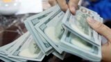 An employee of a bank counts US dollar notes at a branch in Hanoi, Vietnam May 16, 2016.