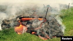The lava flow from the Kilauea Volcano is seen advancing across a pasture between the Pahoa cemetery and Apa'a Street, in this U.S. Geological Survey (USGS) image taken near the village of Pahoa, Hawaii, Oct. 25, 2014.