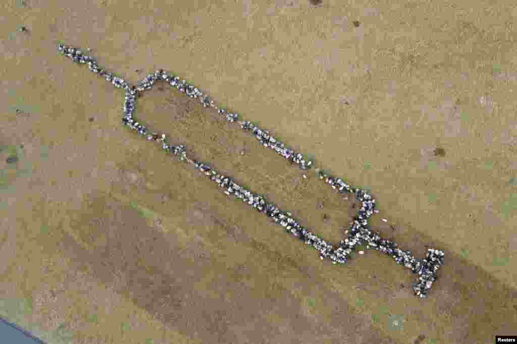 A German shepherd campaigns for COVID-19 vaccinations by forming a giant syringe using 700 sheep and goats in Schneverdingen, south of Hamburg, Jan. 3, 2022.