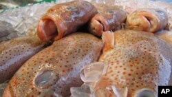 Izljev nafte u Meksički zaljev prijeti i škarpini, no cijene joj još nisu porasle