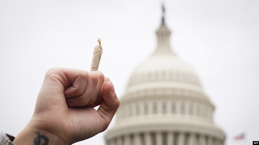 A pro-cannabis activist holds up a marijuana cigarette during a rally on Capitol Hill in Washington, DC.