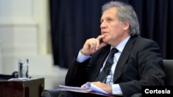 Almagro habló con representantes de la sociedad civil de las Américas sobre sus propuestas de campaña.