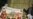 US Disappointed by Reports of Egypt Poll Irregularities