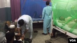 ډاکټران وايي که احتياط او په وخت علاج وشي د ډينګي دماشي چيچلو نه سړی بچ کېدی شي.