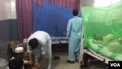 ډينګي د خېبرپښتونخوا مرکز پېښور تر ټولو زيات اغېزمن کړی دی.
