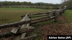 Northern and Southern troops clashed in this field, known as the Hornet's Nest, in Shiloh, Tennessee. (AP Photo/Adrian Sainz)