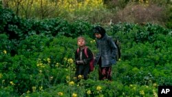 Des enfants pakistanais traversant un champ de fleurs dans un faubourg d'Islamabad, 2 fevrier 2016.