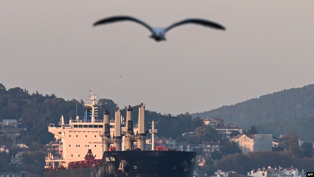 Ukrayna tahılını taşıyan kargo gemisi Asl Tia İstanbul Boğazı'ndan geçerken, 2 Kasım 2022. (ARŞİV)
