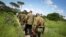 Armed members of the Kenyan security forces march in single file along narrow paths leading through the dense swamp and forest, searching for the attackers, in the remote village of Kaisari, near Mpeketoni, about 60 miles (100 kilometers) from the Somali 