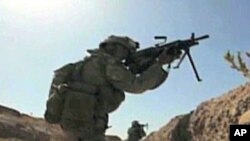 A recent study estimates 66,000 homosexuals currently serve -- about two percent of the total in uniform.