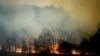  Un feu de brousse brûle à Bodalla, Nouvelle-Galles du Sud, Australie, le 25 janvier 2020.