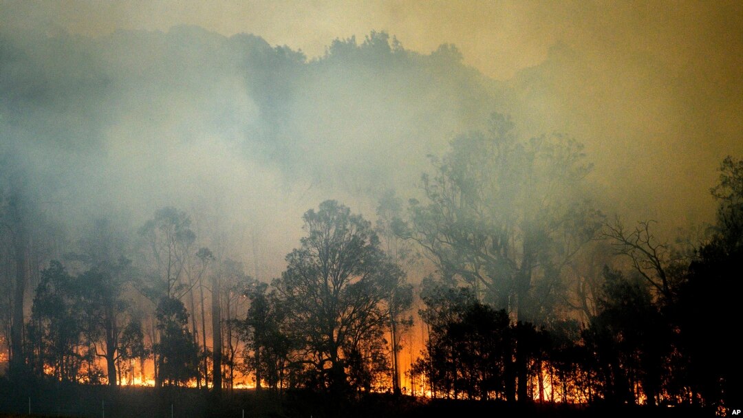 FILE - A bushfire burns in Bodalla, New South Wales, Australia, Jan. 25, 2020. Wildfires destroyed more than 3,000 homes and razed more than 10.6 million hectares (26 million acres) since September.