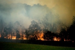 FILE - A bushfire burns in Bodalla, New South Wales, Jan. 25, 2020. Wildfires destroyed more than 3,000 homes and razed more than 10.6 million hectares (26 million acres) since September.