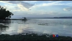 ဗျူဟာကျ ပလာဝမ်ကျွန်း