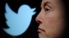 Composición de rostro de Elon Musk y el logo de Twitter.