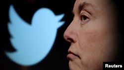 Composición de rostro de Elon Musk y el logo de Twitter.