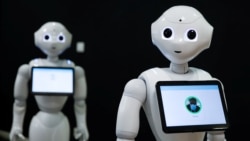 Quiz - Governments Propose Measures to Protect Citizens from Harmful AI