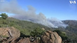 Կալիֆոռնիա. Անտառային հրդեհները